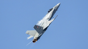 Swiss Air Force McDonnell Douglas F/A-18C Hornet (J-5026) at  Luqa - Malta International, Malta