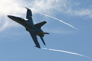 Swiss Air Force McDonnell Douglas F/A-18C Hornet (J-5026) at  Axalp, Switzerland