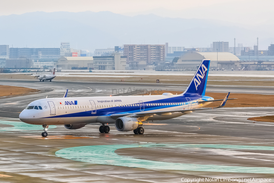 All Nippon Airways - ANA Airbus A321-211 (JA114A) | Photo 597567