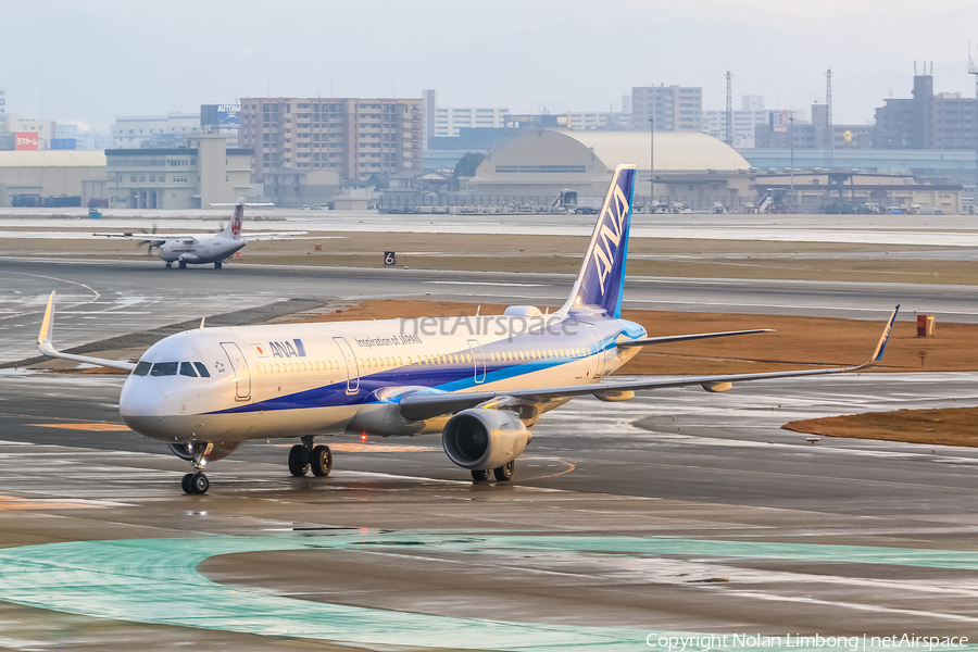 All Nippon Airways - ANA Airbus A321-211 (JA114A) | Photo 597569