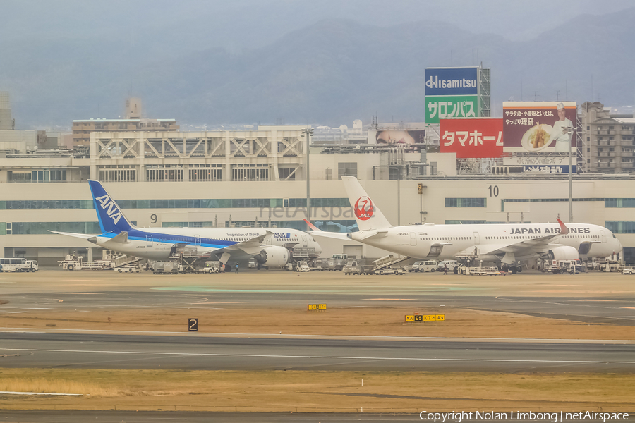 Japan Airlines - JAL Airbus A350-941 (JA12XJ) | Photo 597131