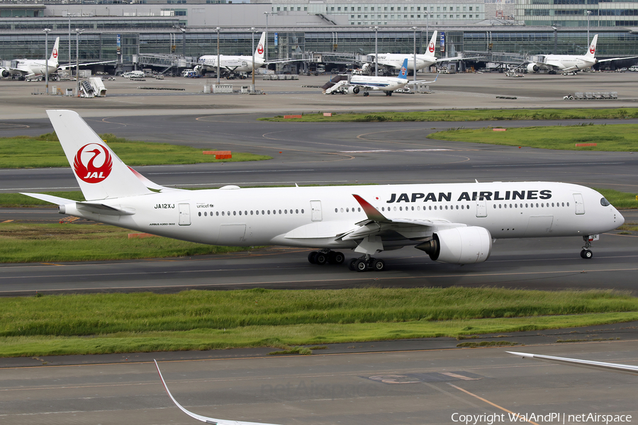 Japan Airlines - JAL Airbus A350-941 (JA12XJ) | Photo 650284