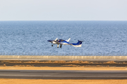 Honda Airways Diamond DA42 NG Twin Star (JA13HA) at  Oita, Japan