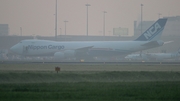 Nippon Cargo Airlines Boeing 747-8KZF (JA13KZ) at  Amsterdam - Schiphol, Netherlands