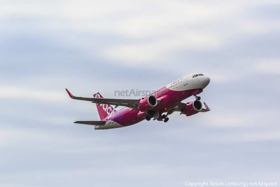 Peach Airbus A320-251N (JA208P) | Photo 598411