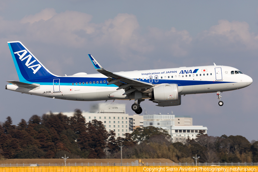 All Nippon Airways - ANA Airbus A320-271N (JA213A) | Photo 328953