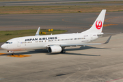 Japan Airlines - JAL Boeing 737-846 (JA305J) at  Nagoya - Chubu Centrair International, Japan