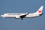 Japan Airlines - JAL Boeing 737-846 (JA305J) at  Tokyo - Narita International, Japan