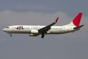 Japan Airlines - JAL Boeing 737-846 (JA305J) at  Beijing - Capital, China