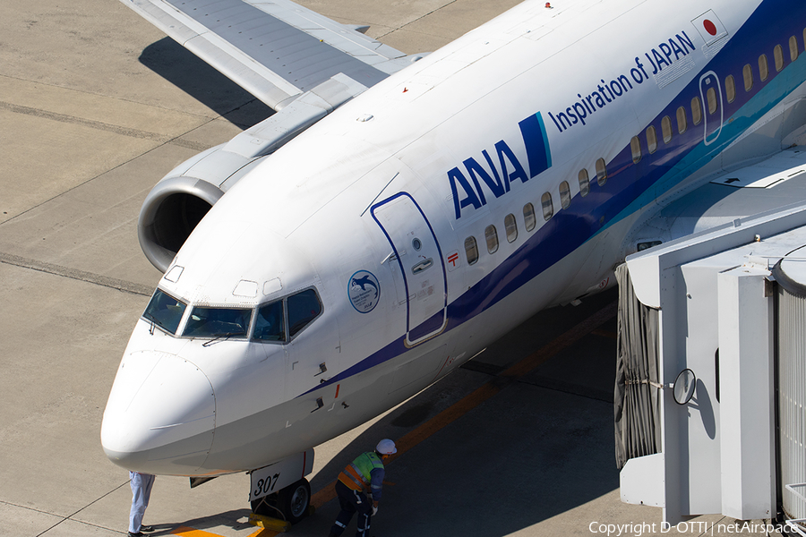 ANA Wings Boeing 737-54K (JA307K) | Photo 386026