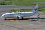 Japan Airlines - JAL Boeing 737-846 (JA309J) at  Tokyo - Haneda International, Japan