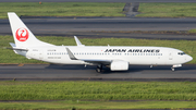 Japan Airlines - JAL Boeing 737-846 (JA311J) at  Tokyo - Haneda International, Japan