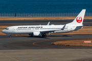 Japan Airlines - JAL Boeing 737-846 (JA311J) at  Tokyo - Haneda International, Japan