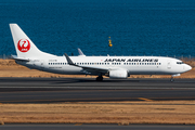 Japan Airlines - JAL Boeing 737-846 (JA311J) at  Tokyo - Haneda International, Japan