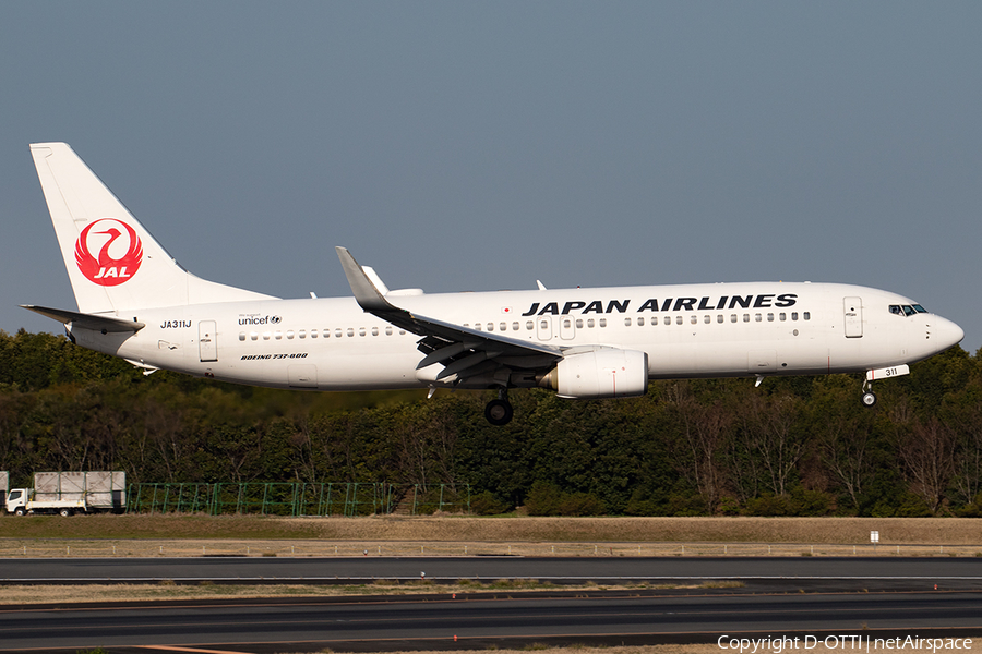 Japan Airlines - JAL Boeing 737-846 (JA311J) | Photo 391137