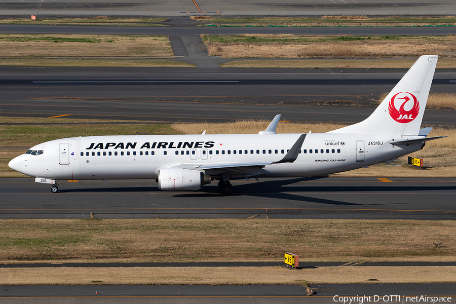 Japan Airlines - JAL Boeing 737-846 (JA316J) | Photo 382034
