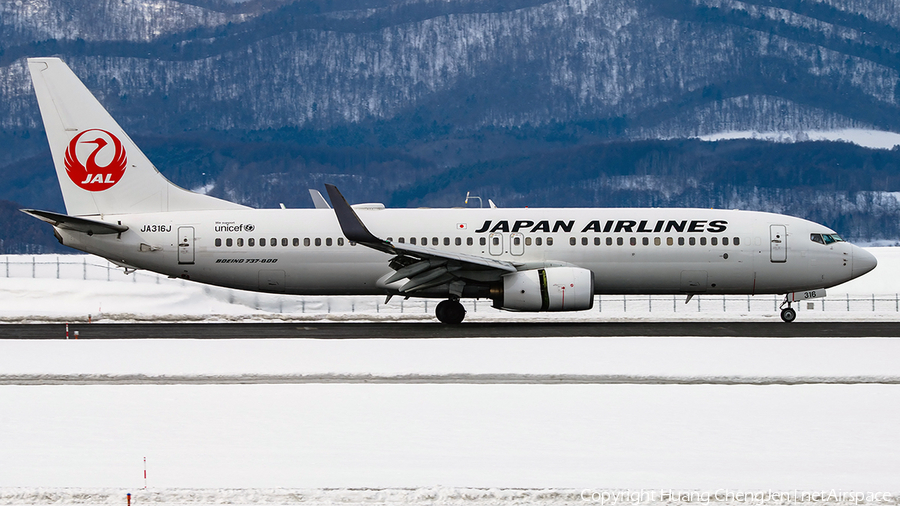 Japan Airlines - JAL Boeing 737-846 (JA316J) | Photo 672640