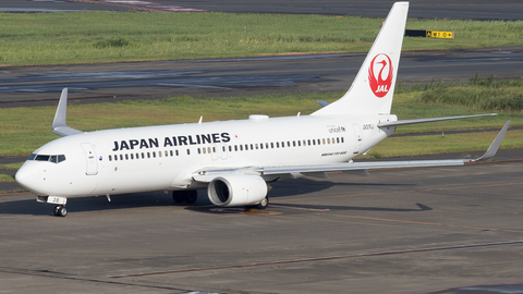 Japan Airlines - JAL Boeing 737-846 (JA316J) at  Tokyo - Haneda International, Japan