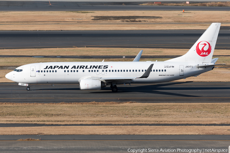 Japan Airlines - JAL Boeing 737-846 (JA317J) | Photo 329001