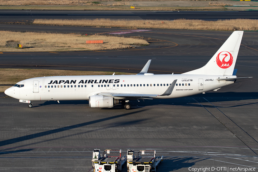 Japan Airlines - JAL Boeing 737-846 (JA318J) | Photo 399759