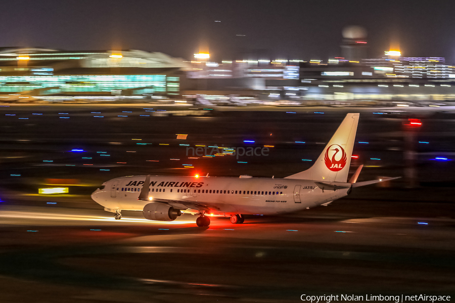 Japan Airlines - JAL Boeing 737-846 (JA319J) | Photo 598832