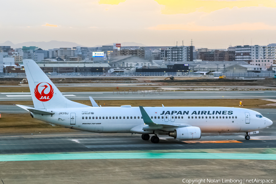 Japan Airlines - JAL Boeing 737-846 (JA319J) | Photo 598833