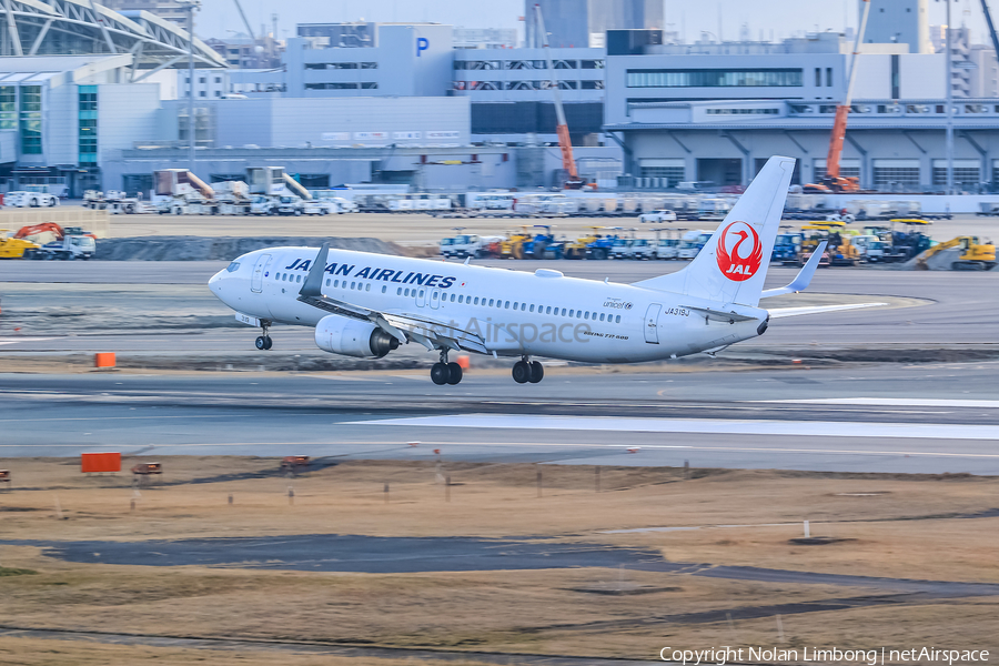 Japan Airlines - JAL Boeing 737-846 (JA319J) | Photo 598834
