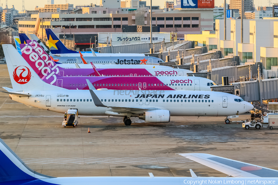 Japan Airlines - JAL Boeing 737-846 (JA319J) | Photo 598837