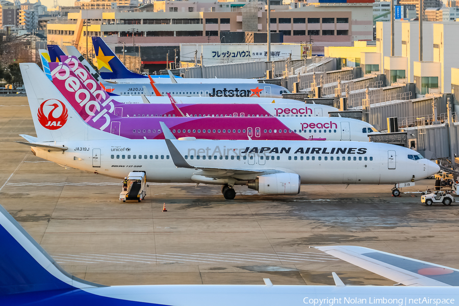 Japan Airlines - JAL Boeing 737-846 (JA319J) | Photo 598839