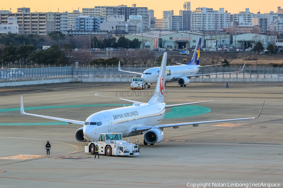 Japan Airlines - JAL Boeing 737-846 (JA319J) | Photo 598840