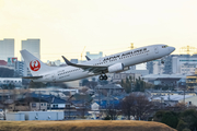 Japan Airlines - JAL Boeing 737-846 (JA337J) at  Osaka - Itami International, Japan