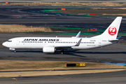 Japan Airlines - JAL Boeing 737-846 (JA340J) at  Tokyo - Haneda International, Japan