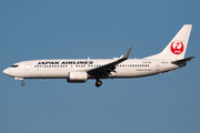 Japan Airlines - JAL Boeing 737-846 (JA343J) at  Tokyo - Narita International, Japan