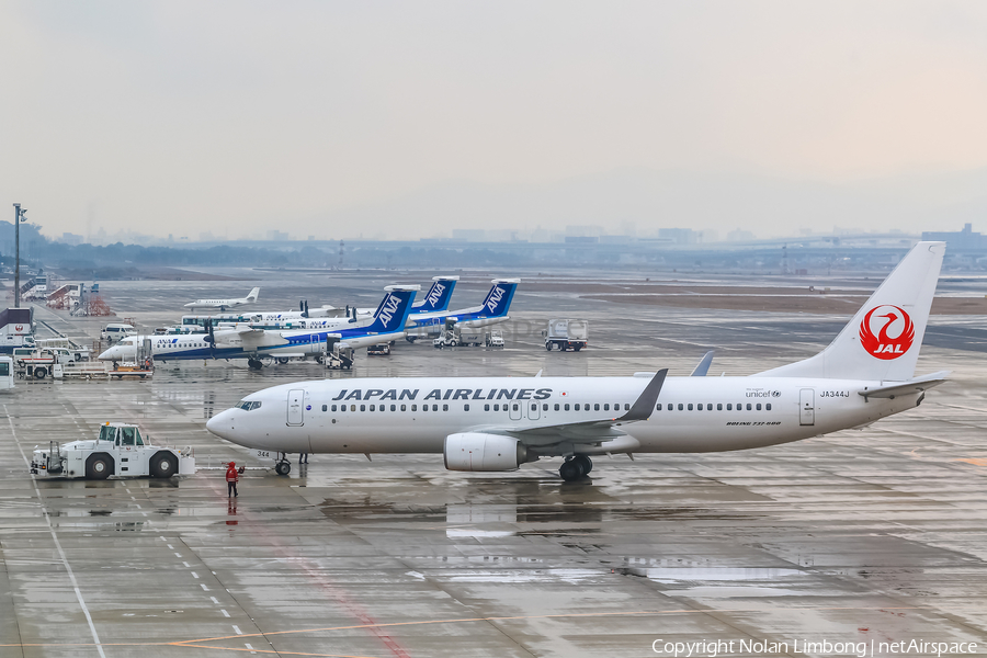 Japan Airlines - JAL Boeing 737-846 (JA344J) | Photo 598853