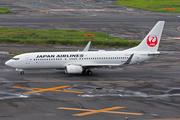 Japan Airlines - JAL Boeing 737-846 (JA349J) at  Tokyo - Haneda International, Japan