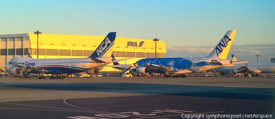 All Nippon Airways - ANA Airbus A380-841 (JA381A) | Photo 372082