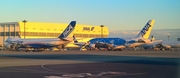 All Nippon Airways - ANA Airbus A380-841 (JA381A) at  Tokyo - Narita International, Japan