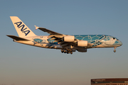 All Nippon Airways - ANA Airbus A380-841 (JA381A) at  Tokyo - Narita International, Japan