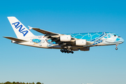 All Nippon Airways - ANA Airbus A380-841 (JA381A) at  Tokyo - Narita International, Japan