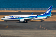 All Nippon Airways - ANA Boeing 737-881 (JA53AN) at  Tokyo - Haneda International, Japan