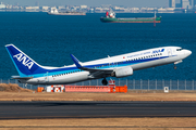 All Nippon Airways - ANA Boeing 737-881 (JA53AN) at  Tokyo - Haneda International, Japan