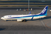 All Nippon Airways - ANA Boeing 737-881 (JA57AN) at  Tokyo - Haneda International, Japan