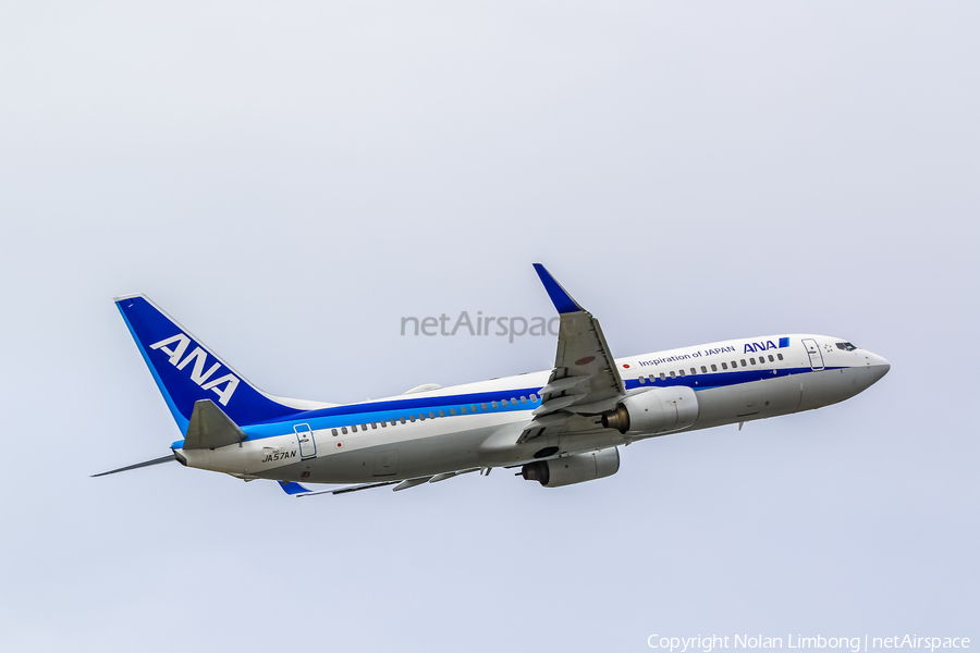All Nippon Airways - ANA Boeing 737-881 (JA57AN) | Photo 597436