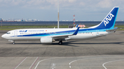 All Nippon Airways - ANA Boeing 737-881 (JA61AN) at  Tokyo - Haneda International, Japan