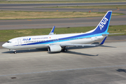 All Nippon Airways - ANA Boeing 737-881 (JA64AN) at  Nagoya - Chubu Centrair International, Japan