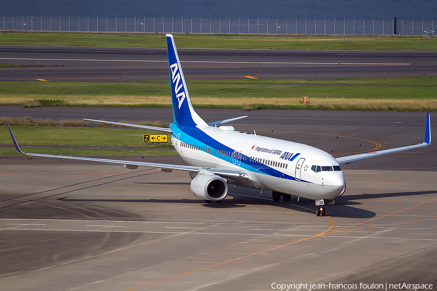 All Nippon Airways - ANA Boeing 737-881 (JA72AN) | Photo 170800