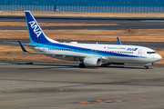 All Nippon Airways - ANA Boeing 737-881 (JA73AN) at  Tokyo - Haneda International, Japan