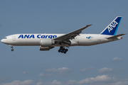 All Nippon Airways Cargo - ANA Cargo Boeing 777-F81 (JA771F) at  Frankfurt am Main, Germany