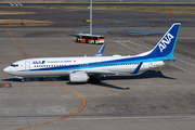 All Nippon Airways - ANA Boeing 737-881 (JA78AN) at  Tokyo - Haneda International, Japan