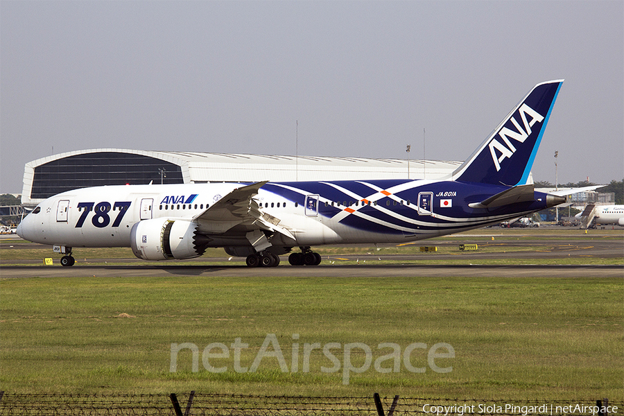 All Nippon Airways - ANA Boeing 787-8 Dreamliner (JA801A) | Photo 360495